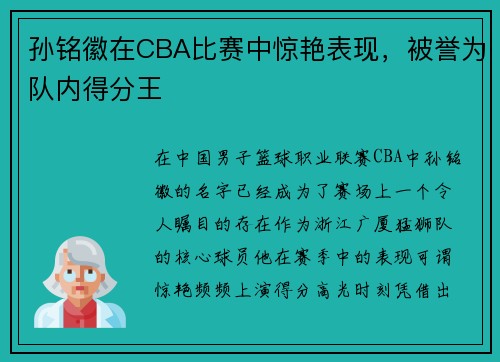 孙铭徽在CBA比赛中惊艳表现，被誉为队内得分王